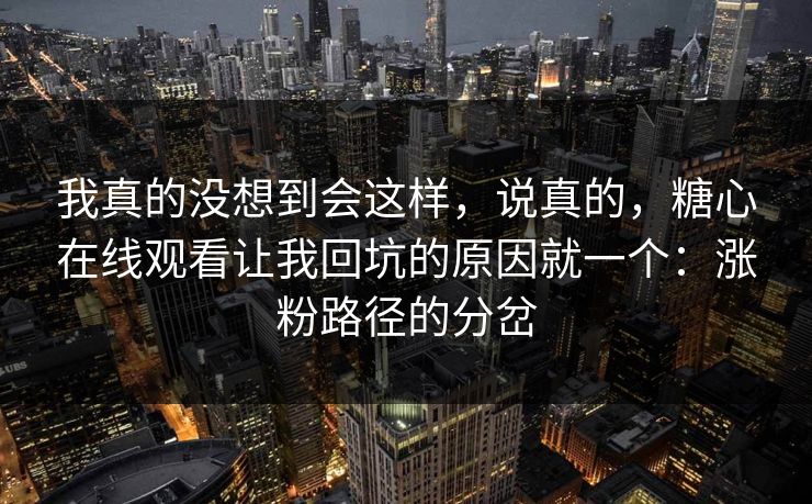 我真的没想到会这样，说真的，糖心在线观看让我回坑的原因就一个：涨粉路径的分岔